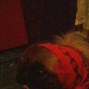 ���� ����, ����������, 45 ��� - ��������� 15 ������� 2012 � ������ �������