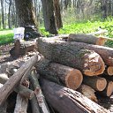 ���� �������, ����, 42 ���� - ��������� 9 ��� 2011 � ������ �������