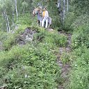 ���� ������, ������, 46 ��� - ��������� 17 ���� 2010 � ������ ������ 2010�