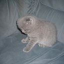 ����� �� ������� ���� ��������