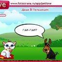  , , 34  -  13  2010   PetLove