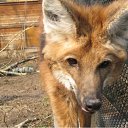 ���� ������, ��������� - ��������� 21 ��� 2010 � ������ ����������� �������