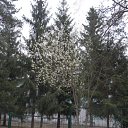 ���������� �� ������� �������, 18.04.2010�