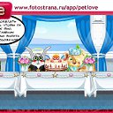 ���� ����, ������, 34 ���� - ��������� 7 ������� 2010 � ������ �PetLove�