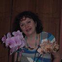 ���� �������, �������, 54 ���� - ��������� 10 ��� 2013 � ������ ���� ����������