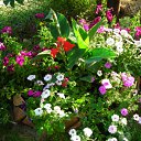 ���� �����, �������, 44 ���� - ��������� 17 ��� 2010 � ������ ������ � ���� ����