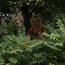 ���� ����, �����������, 62 ���� - ��������� 23 ����� 2012