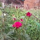 ���� ������, ������, 59 ��� - ��������� 18 �������� 2011 � ������ �������