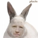���� �������, ��������, 55 ��� - ��������� 19 ���� 2012