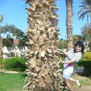 ���� ����, ������ - ��������� 15 ����� 2012 � ������ �������