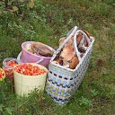 ���� ����, �����-���������, 64 ���� - ��������� 15 ��� 2013