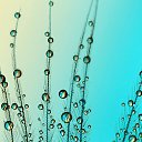 ���� ����������, �������, 50 ��� - ��������� 3 ������� 2012