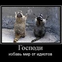 ���� ��, ������������, 39 ��� - ��������� 30 ������� 2010 � ������ �����-���� � �����