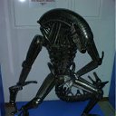 ���� ������, ������, 37 ��� - ��������� 6 �������� 2011