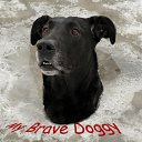 ���� ���, ������ - ��������� 13 ������ 2010 � ������ �In Memory of Nos, The Dog (R.I.P)�