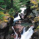 Avalanche Gorge, Glacier Nati ..   