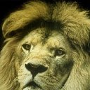 ���� 777, �������, 48 ��� - ��������� 21 ��� 2012 � ������ �������