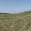  , , 41  -  13  2010   ~  ~