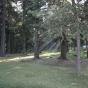 ���� �����, ������������, 32 ���� - ��������� 29 ������� 2011 � ������ �������