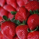 ���� Aska, ���� - ��������� 18 ���� 2013 � ������ ��������� ��������.�