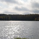 ���� �������, ���������, 84 ���� - ��������� 2 ���� 2012 � ������ ���� ����������