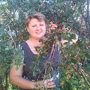 ���� ����, ���������� �����, 59 ��� - ��������� 3 ���� 2013 � ������ ���� ����������