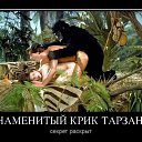 ���� ��������, ��������� - ��������� 19 ��� 2012 � ������ �������