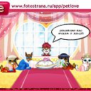 ���� �����, ����� ���, 41 ��� - ��������� 17 ������ 2011 � ������ �PetLove�