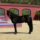 ���� "@����", �����-���������, 25 ��� - ��������� 26 ��� 2010 � ������ �������