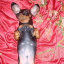 ���� ����� - ���������� ��������!!!, �����������, 56 ��� - ��������� 10 ������ 2010 � ������ �������