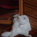 ���� �������, �����-���������, 61 ��� - ��������� 12 ������ 2011 � ������ ���� �����