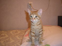 ���� ������� ������, ����������, 23 ���� - ��������� 1 ������ 2012