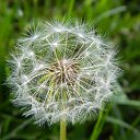 ���� ����, ���������, 65 ��� - ��������� 30 ������� 2012 � ������ ���� ����������