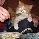 ��� ����� ������� ����� �� ������� ���� �����