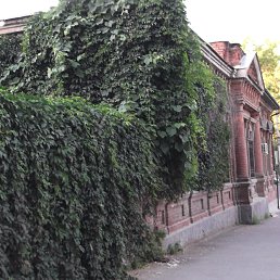 ���� ��� ����� �����!