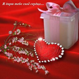 ���� �����, ��������������, 27 ��� - ��������� 31 ������� 2009