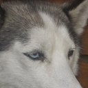 ���� �������, ����������� - ��������� 25 ������ 2013 � ������ ���� ����������