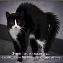 ���� ������, �������� - ��������� 14 ������� 2011 � ������ �����