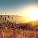 ���� ���������, �����-���������, 47 ��� - ��������� 25 ������ 2012 � ������ �������