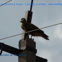   78 .,  -  25  2010   dczxbyf
