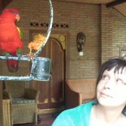 ���� ��������, �����-���������, 67 ���