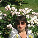 ���� ����, ����� - ��������� 29 ������� 2012 � ������ ���������� ������