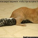 ���� Irisk@, ������ - ��������� 22 ���� 2011 � ������ �������