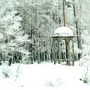 ���� ������, ��������, 58 ��� - ��������� 24 ������� 2010 � ������ ���� ������� �����