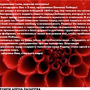 ���� ����, ���, 46 ��� - ��������� 7 ��� 2013 � ������ �� �ͨ� �����ۻ