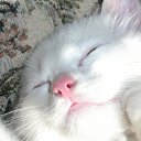 ���� �, �����-���������, 50 ��� - ��������� 31 ������� 2010 � ������ �������