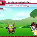  , , 24  -  12  2010   PetLove