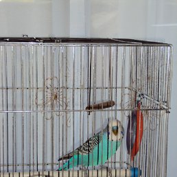 ���� ��������, ������ - ��������� 24 ���� 2010