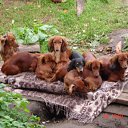 ���� &deg;&bull;*������&deg;&bull;*, ����������, 23 ���� - ��������� 3 ���� 2010 � ������ ��������!�