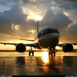 ���� ����, �����-���������, 68 ��� - ��������� 17 ������ 2012